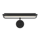 Miller 21.5'' LED Matte Black Picture Light