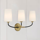Niles 23.5'' Black Forged + Modern Gold Bathroom Vanity
