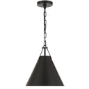 Xavier 12'' Matte Black Pendant