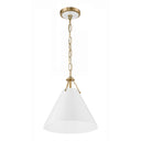 Xavier 12'' Vibrant Gold Pendant