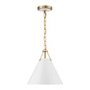 Xavier 12'' Vibrant Gold Pendant