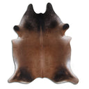 Tornasal