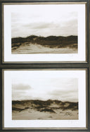 Dune Study / PR