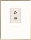 Roman Coins VIII