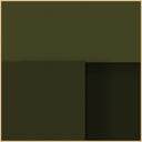 Monochromatic Steps 1