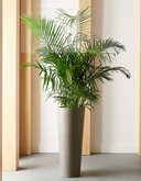 Arbor Planter - Large