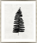 Carbon Species I