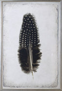 Feather Study III