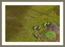 Elephants in the Room