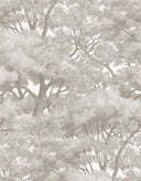 f81864_d70297dc5d9d45aba65bf637ed836bce~mv2.jpg